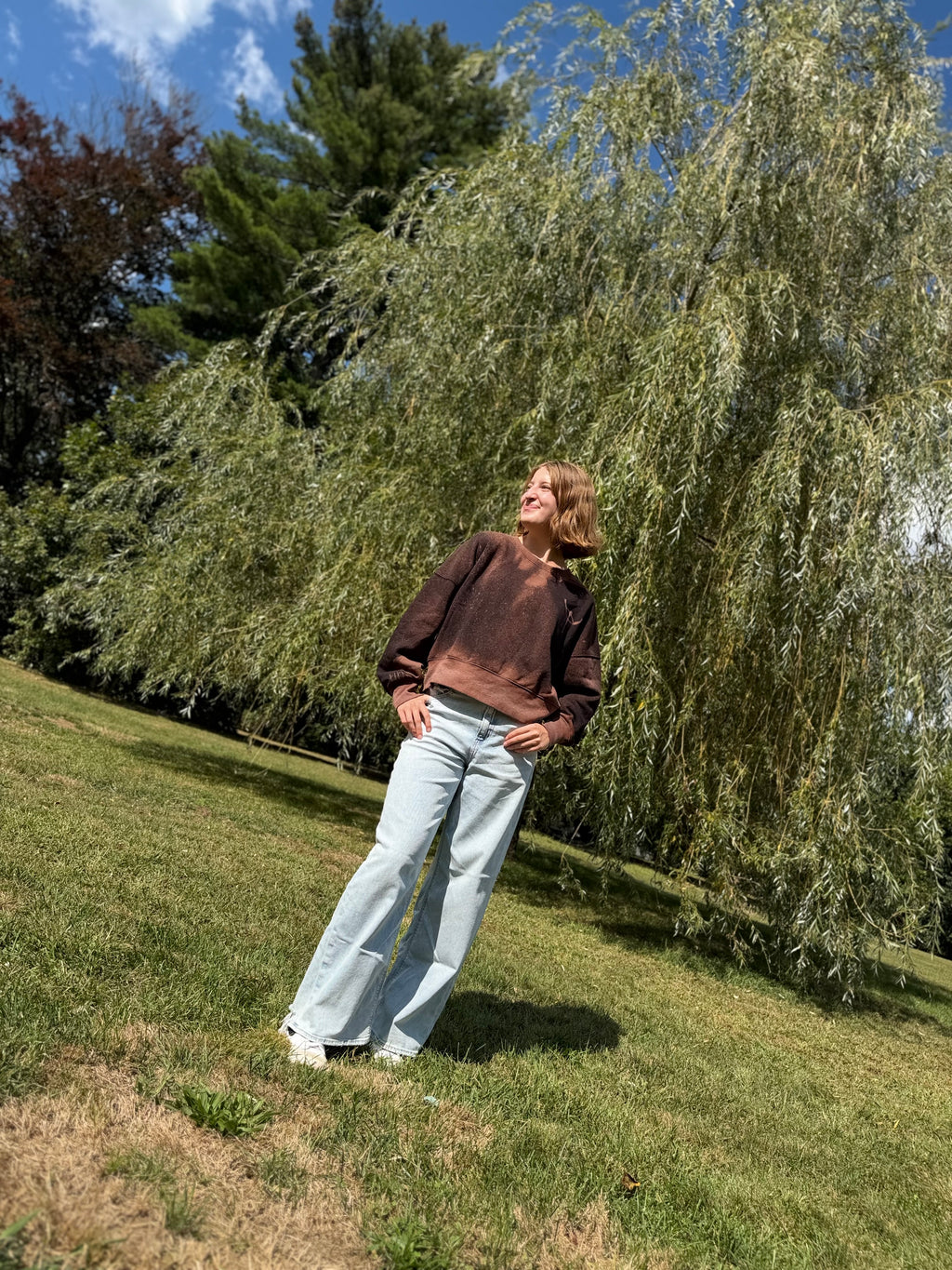 Hand Painted HTTYD Crewneck – How to Train Your Dragon Bleach Dye Sweatshirt, Unique Fan Gift, One-of-a-Kind Wearable Art